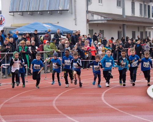 Rahmenterminplan, Ausschreibungen online