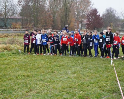 Ausschreibung für Kreis-Cross online